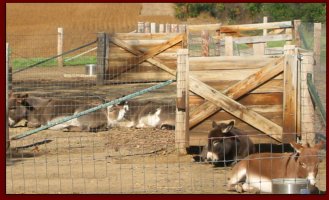 Click photo to enlarge image