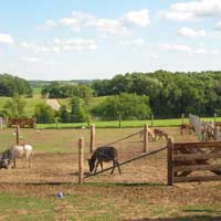 Teenagers Hangin' Out