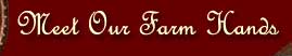 Meet Our Farm Hands at Fleur de Lys Farm